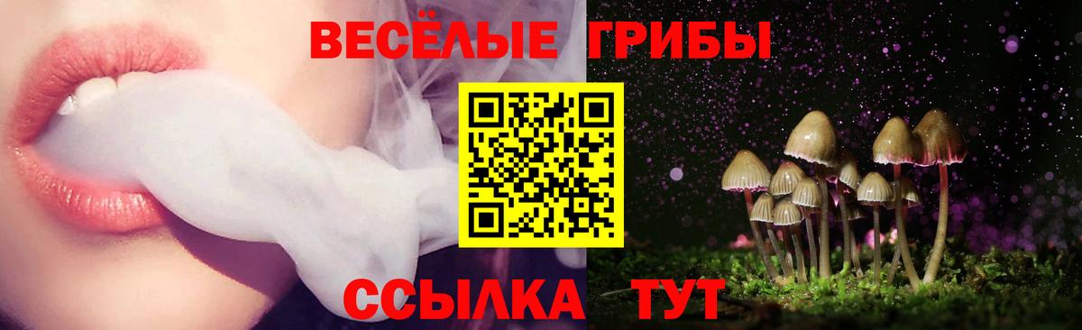 закладки  Вход с VPN  Ижевск  Псилоцибиновые грибы Magic Shrooms 