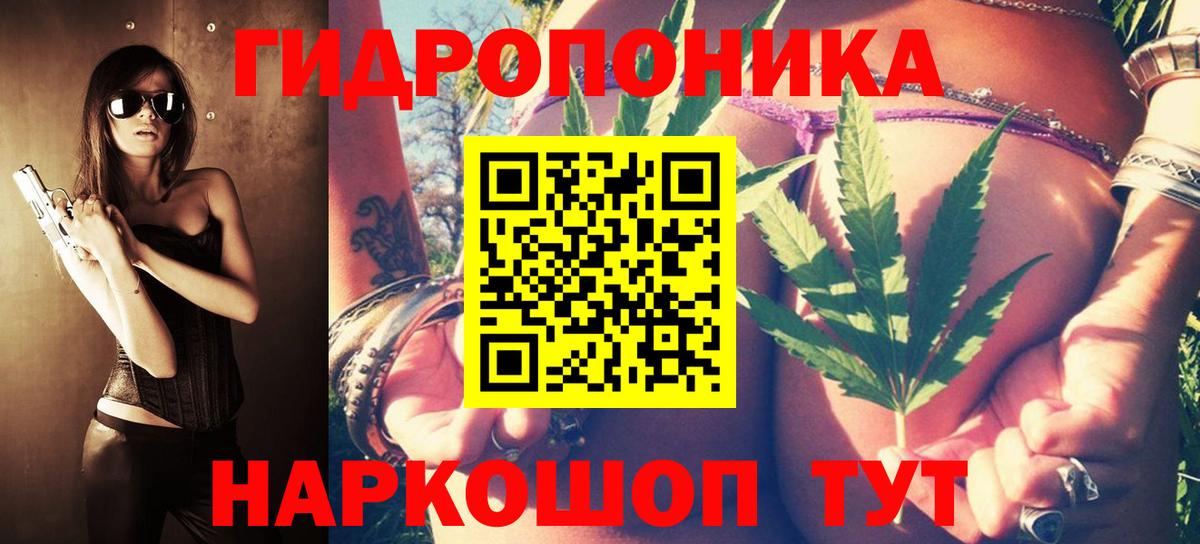 Ижевск  Бошки Шишки сатива  Шишки марихуана сатива  Вход с VPN  Шишки марихуана ГИДРОПОН 